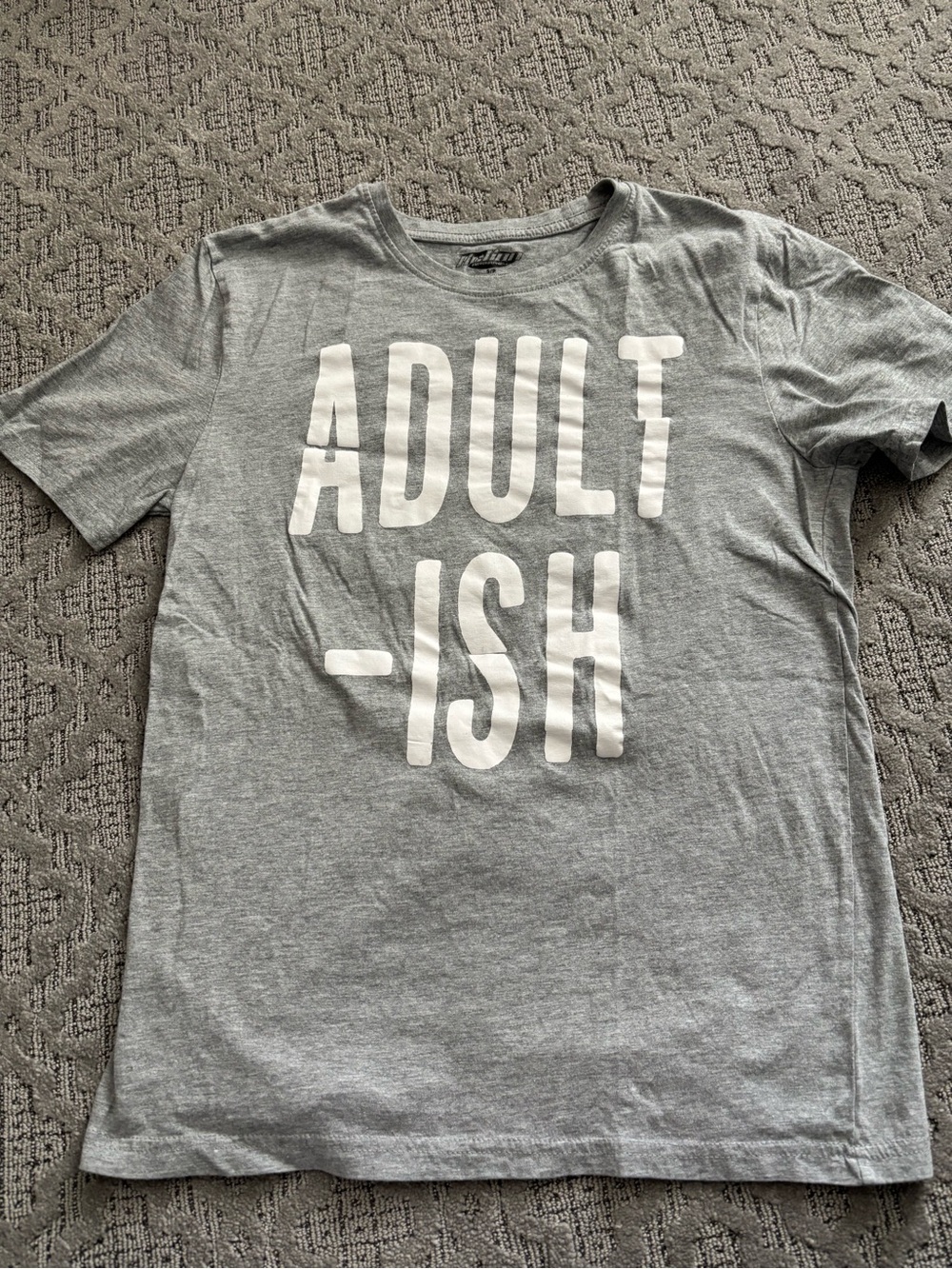 Adult-ish Gray Graphic T-Shirt by (Unknown)